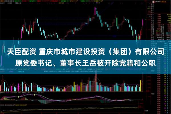 天臣配资 重庆市城市建设投资（集团）有限公司原党委书记、董事长王岳被开除党籍和公职