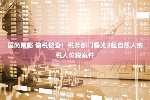 国尚策略 偷税被查！税务部门曝光3起自然人纳税人偷税案件