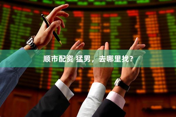 顺市配资 猛男，去哪里找？