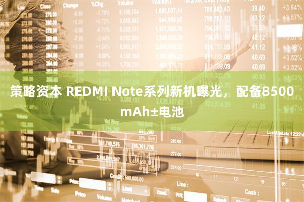 策略资本 REDMI Note系列新机曝光，配备8500mAh±电池