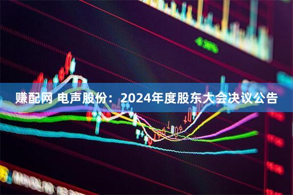 赚配网 电声股份：2024年度股东大会决议公告